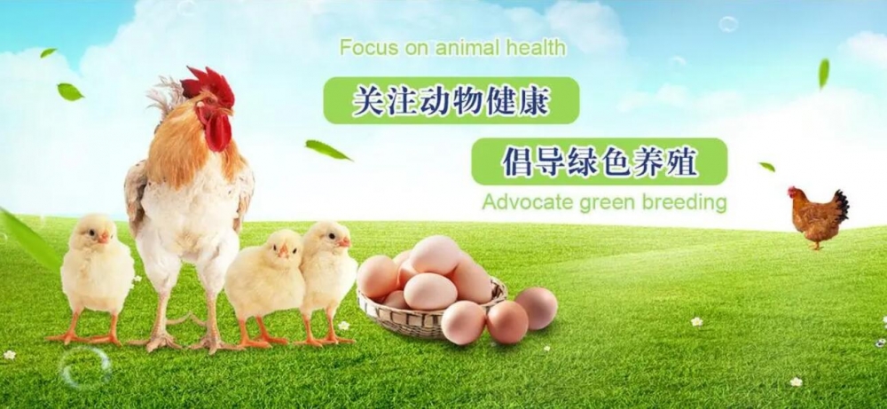 獸藥GMP認(rèn)證儀器配置清單